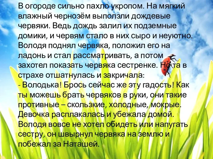 В огороде сильно пахло укропом. На мягкий влажный чернозём выползли