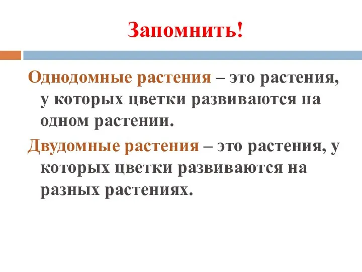 Запомнить! Однодомные растения – это растения, у которых цветки развиваются