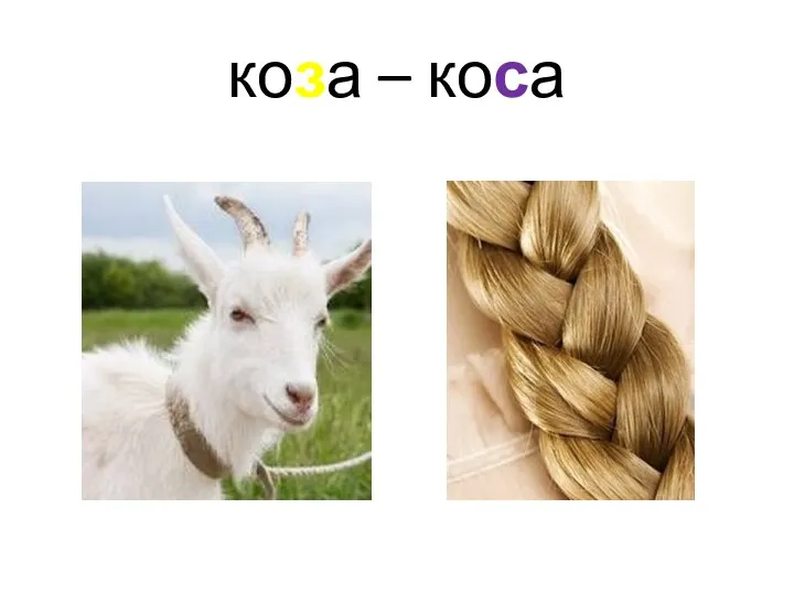 коза – коса
