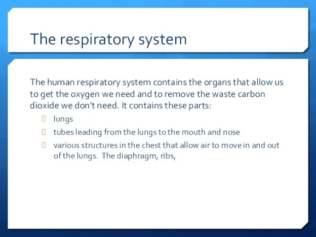 The respiratory system The human respiratory system contains the organs