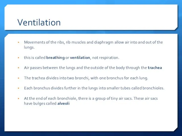 Ventilation Movements of the ribs, rib muscles and diaphragm allow