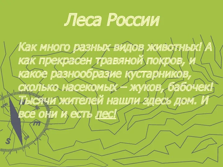 Леса России Как много разных видов животных! А как прекрасен травяной покров, и