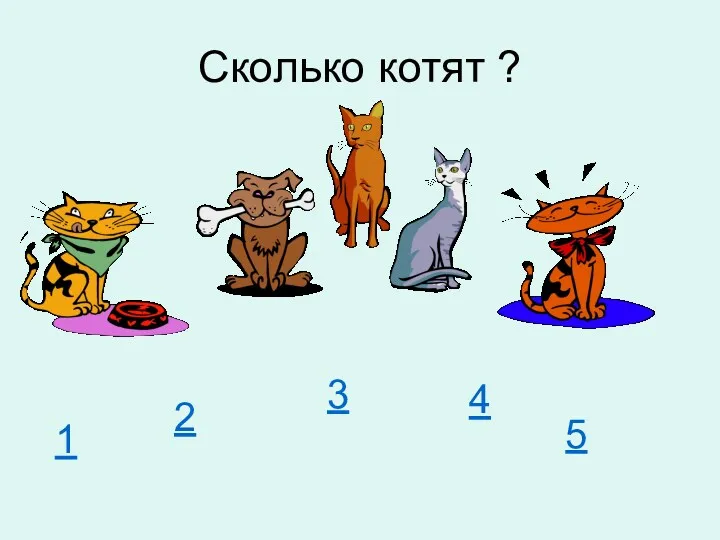 Сколько котят ? 1 2 3 4 5