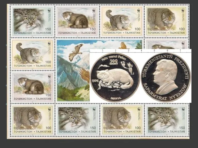 Манул в культуре Манулам посвящена серия из 12 марок почты