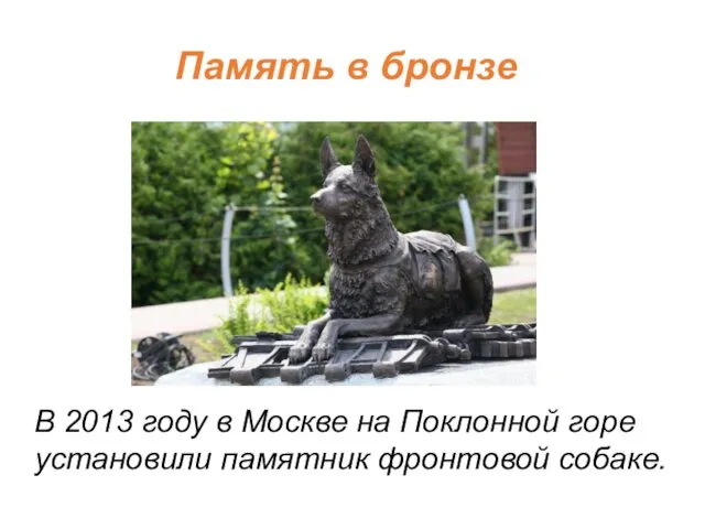 Память в бронзе В 2013 году в Москве на Поклонной горе установили памятник фронтовой собаке.