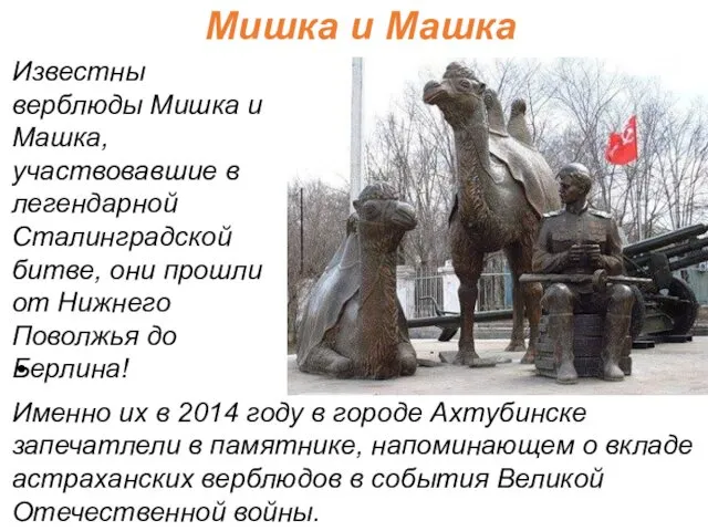 Мишка и Машка Именно их в 2014 году в городе