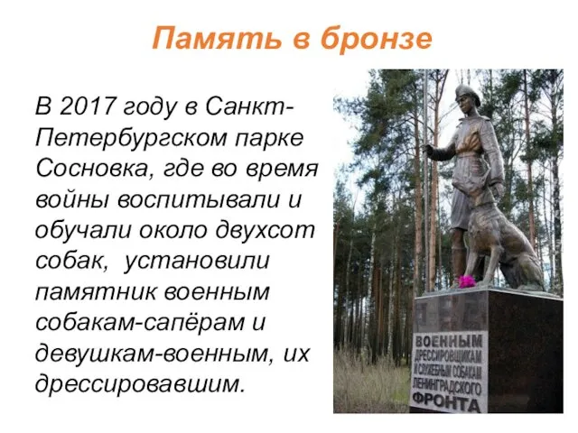 Память в бронзе В 2017 году в Санкт-Петербургском парке Сосновка,