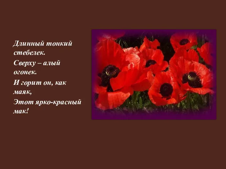 Длинный тонкий стебелек. Сверху – алый огонек. И горит он, как маяк, Этот ярко-красный мак!