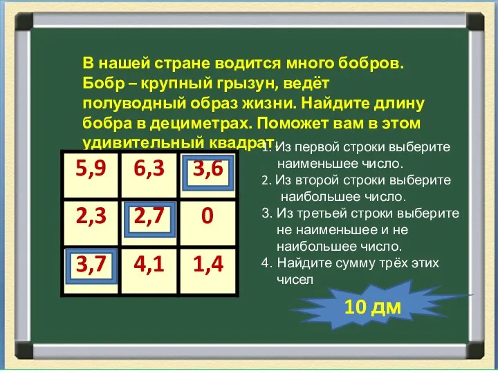 В нашей стране водится много бобров. Бобр – крупный грызун,