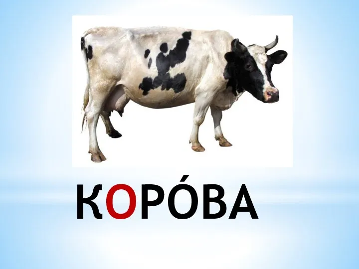 КОРÓВА