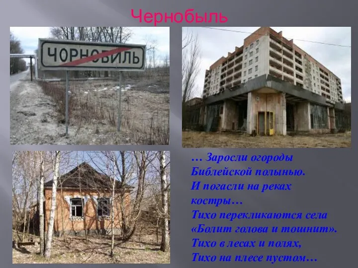 Чернобыль … Заросли огороды Библейской полынью. И погасли на реках