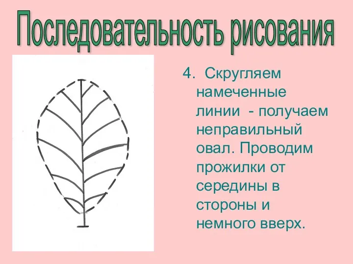 Последовательность рисования 4. Скругляем намеченные линии - получаем неправильный овал.