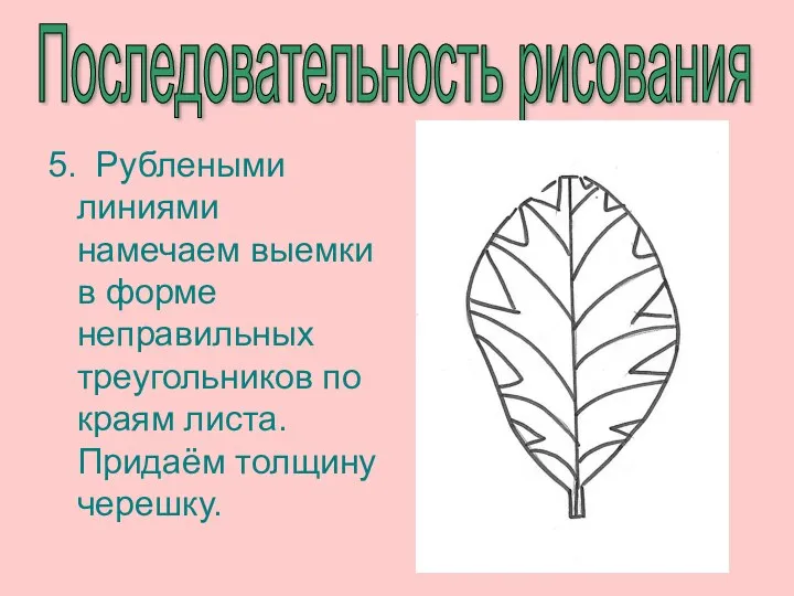 Последовательность рисования 5. Рублеными линиями намечаем выемки в форме неправильных