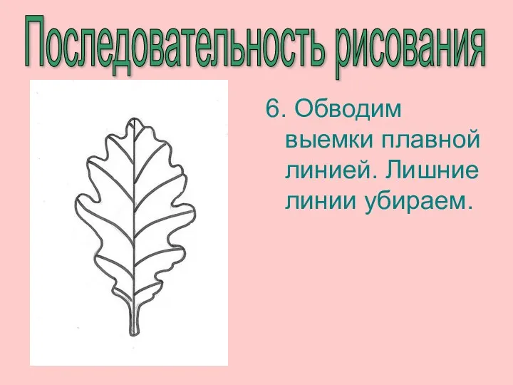 Последовательность рисования 6. Обводим выемки плавной линией. Лишние линии убираем.