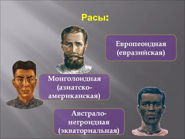 Расы: Европеоидная (евразийская) Монголоидная (азиатско-американская) Австрало-негроидная (экваториальная)