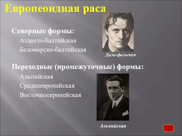 Европеоидная раса Северные формы: Атланто-балтийская Беломорско-балтийская Переходные (промежуточные) формы: Альпийская Среднеевропейская Восточноевропейская Альпийская Дало-фальская