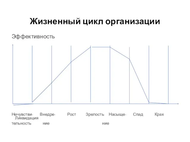 Жизненный цикл организации Эффективность Нечувстви- Внедре- Рост Зрелость Насыще- Спад Крах Ликвидация тельность ние ние