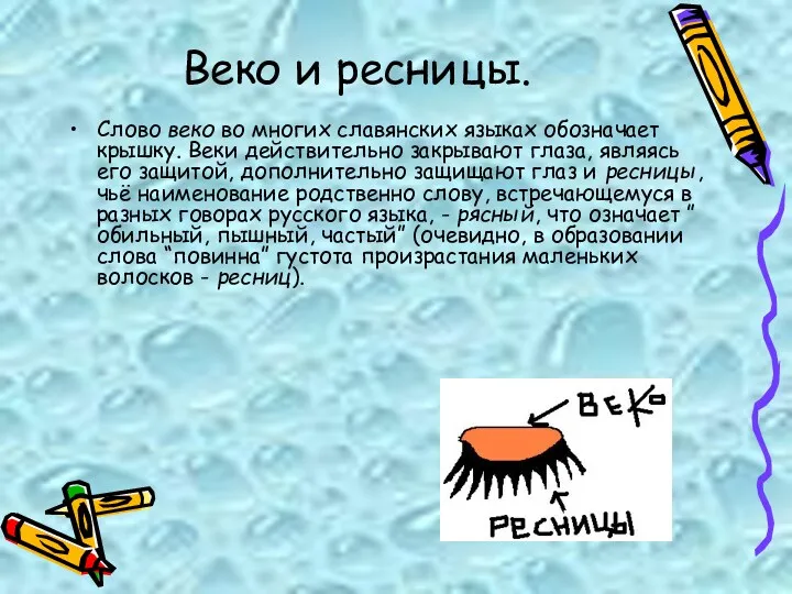 Веко и ресницы. Слово веко во многих славянских языках обозначает крышку. Веки действительно