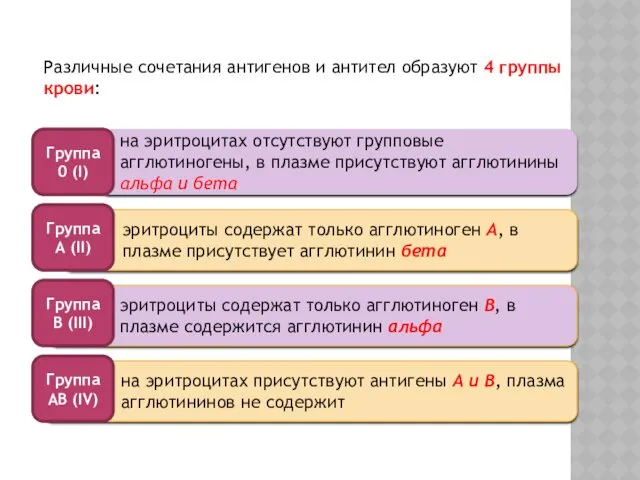 Различные сочетания антигенов и антител образуют 4 группы крови: