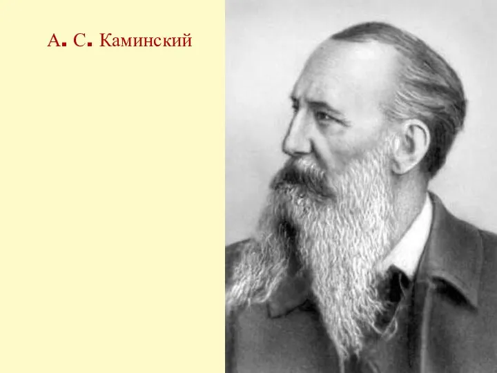 А. С. Каминский