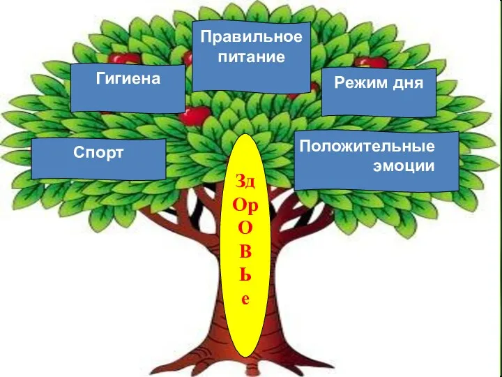 Зд Ор О В Ь е Спорт Режим дня Положительные эмоции Правильноепитание Гигиена