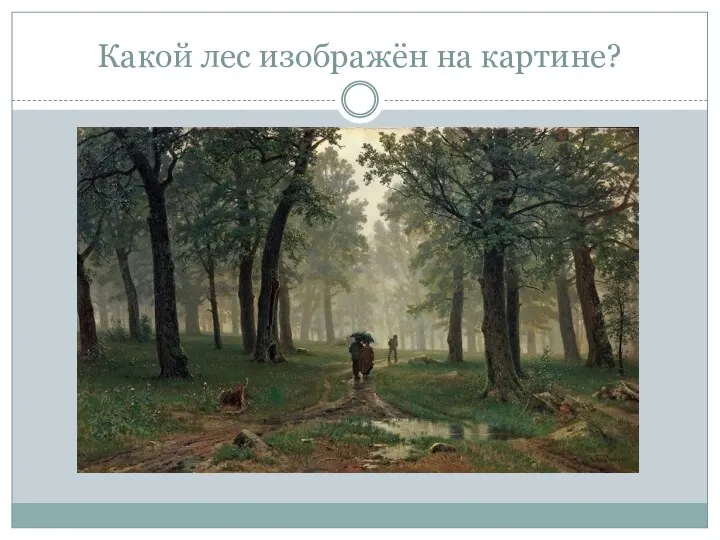 Какой лес изображён на картине?