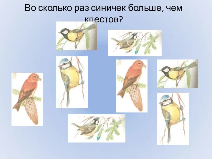 Во сколько раз синичек больше, чем клестов?