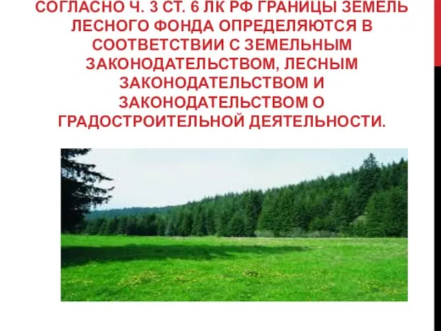 СОГЛАСНО Ч. 3 СТ. 6 ЛК РФ ГРАНИЦЫ ЗЕМЕЛЬ ЛЕСНОГО