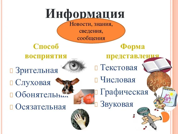 Зрительная Слуховая Обонятельная Осязательная Текстовая Числовая Графическая Звуковая Информация Новости,