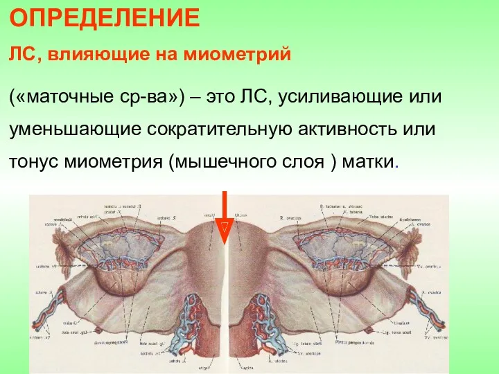 ОПРЕДЕЛЕНИЕ ЛС, влияющие на миометрий («маточные ср-ва») – это ЛС,