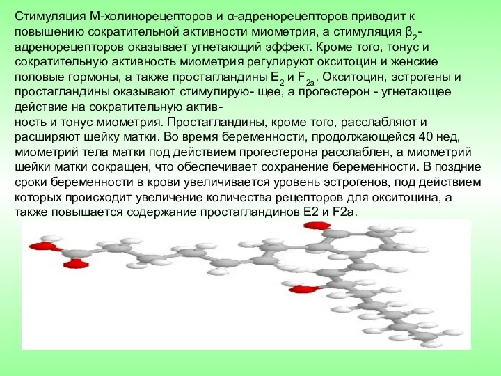 Стимуляция М-холинорецепторов и α-адренорецепторов приводит к повышению сократительной активности миометрия,