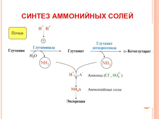 СИНТЕЗ АММОНИЙНЫХ СОЛЕЙ