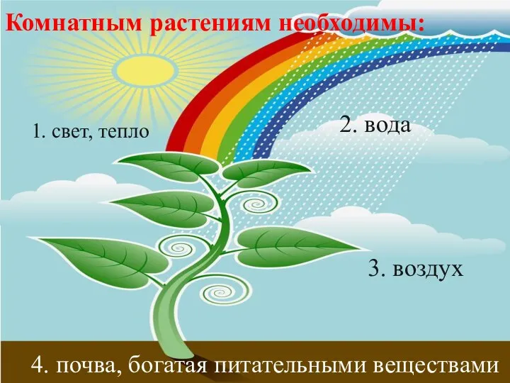 Комнатным растениям необходимы: 1. свет, тепло 4. почва, богатая питательными веществами 2. вода 3. воздух