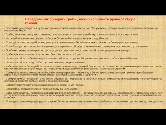 Перед тем как собирать грибы, нужно вспомнить правила сбора грибов: