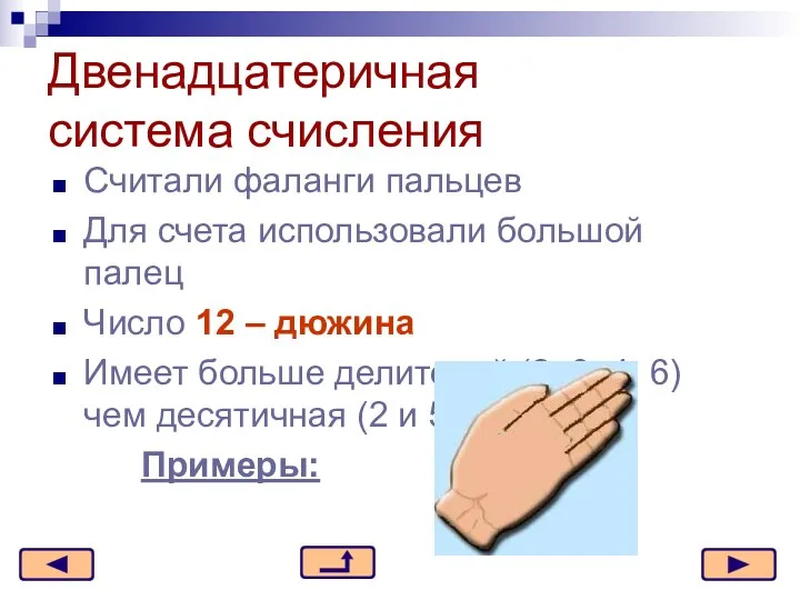 Двенадцатеричная система счисления Считали фаланги пальцев Для счета использовали большой палец Число 12
