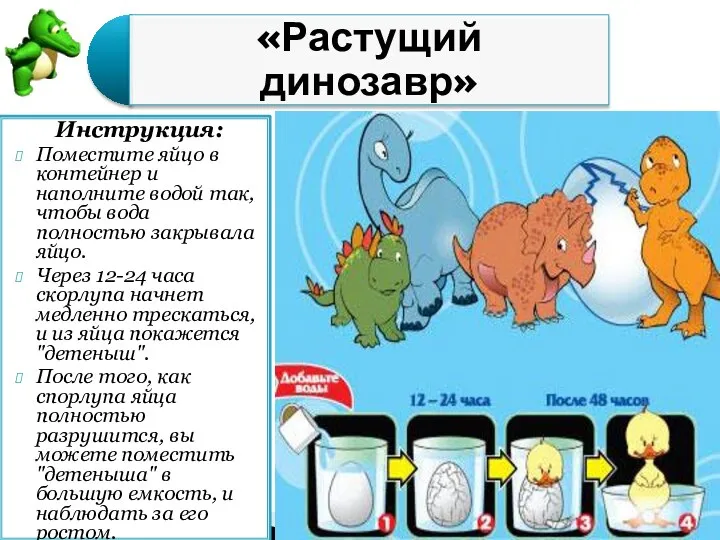 Инструкция: Поместите яйцо в контейнер и наполните водой так, чтобы вода полностью закрывала