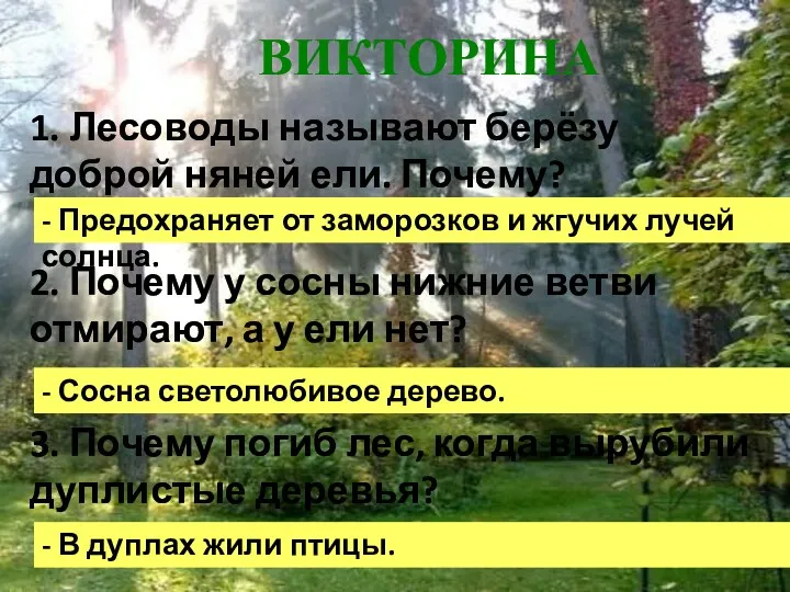 ВИКТОРИНА 1. Лесоводы называют берёзу доброй няней ели. Почему? 2.