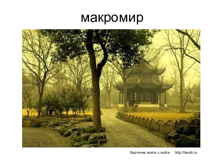 макромир Картинка взята с сайта http://basik.ru