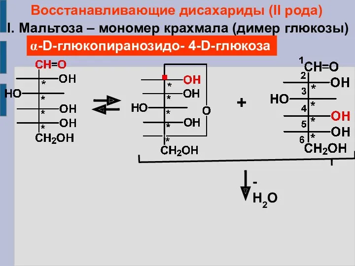 Восстанавливающие дисахариды (II рода) I. Мальтоза – мономер крахмала (димер глюкозы) α-D-глюкопиранозидо- 4-D-глюкоза + - Н2О