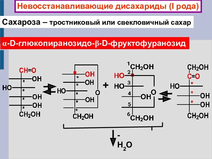 Невосстанавливающие дисахариды (I рода) Сахароза – тростниковый или свекловичный сахар α-D-глюкопиранозидо-β-D-фруктофуранозид + - Н2О