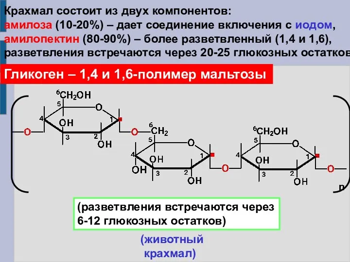 Крахмал состоит из двух компонентов: амилоза (10-20%) – дает соединение включения с иодом,