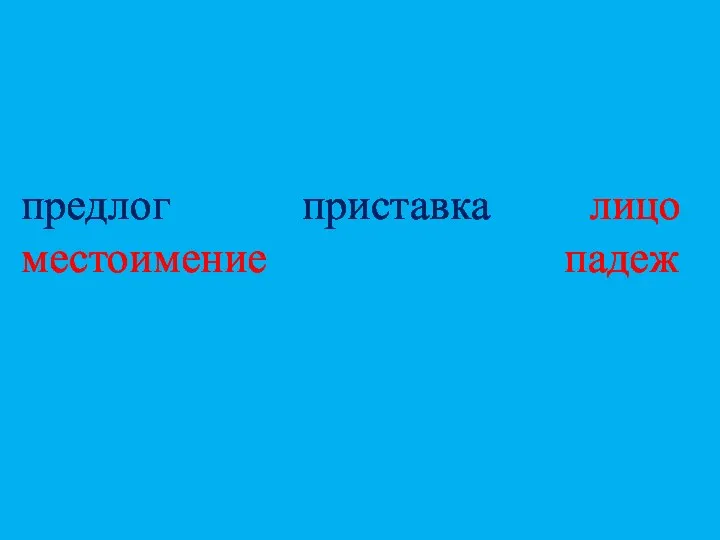 предлог приставка лицо местоимение падеж