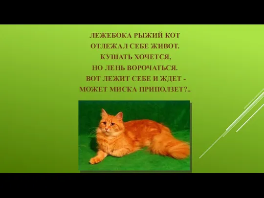 ЛЕЖЕБОКА РЫЖИЙ КОТ ОТЛЕЖАЛ СЕБЕ ЖИВОТ. КУШАТЬ ХОЧЕТСЯ, НО ЛЕНЬ