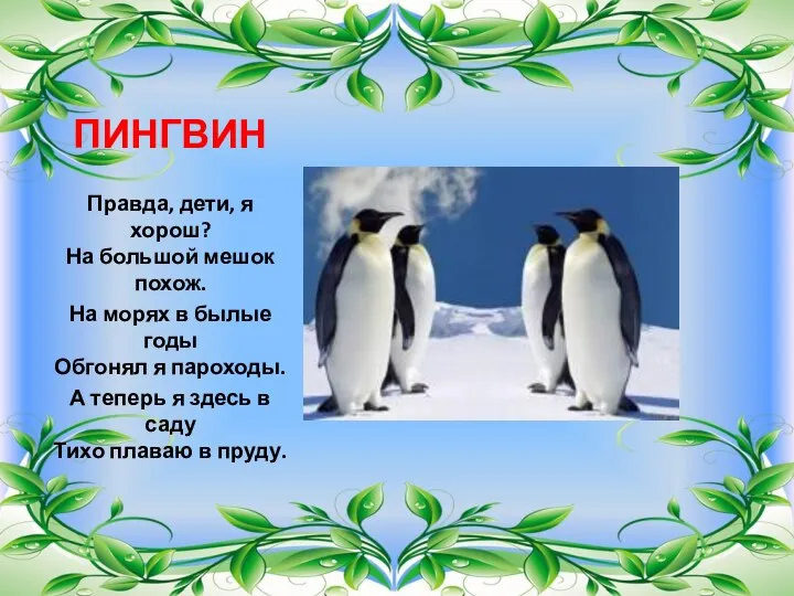 ПИНГВИН Правда, дети, я хорош? На большой мешок похож. На