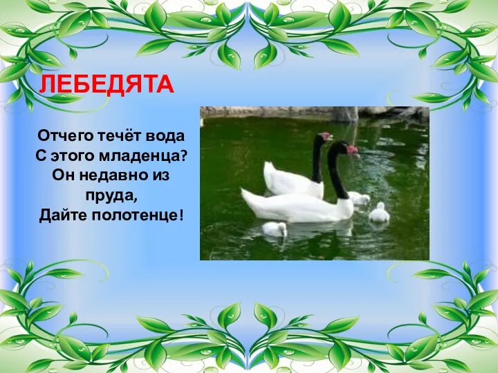 ЛЕБЕДЯТА Отчего течёт вода С этого младенца? Он недавно из пруда, Дайте полотенце!