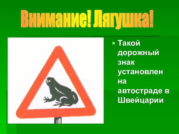 Такой дорожный знак установлен на автостраде в Швейцарии Внимание! Лягушка!