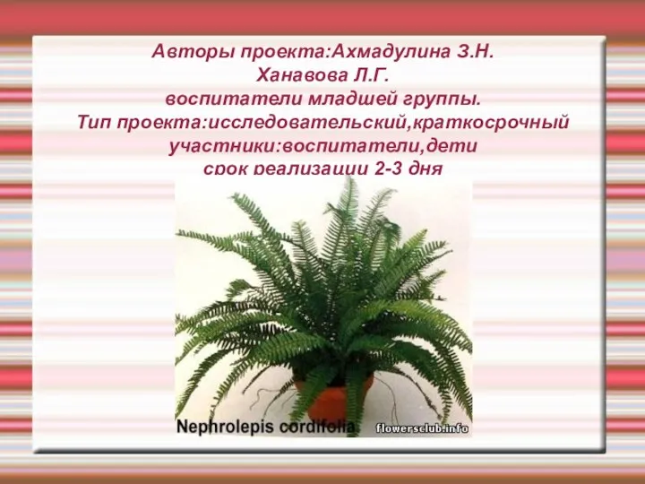 Авторы проекта:Ахмадулина З.Н. Ханавова Л.Г. воспитатели младшей группы. Тип проекта:исследовательский,краткосрочный участники:воспитатели,дети срок реализации 2-3 дня