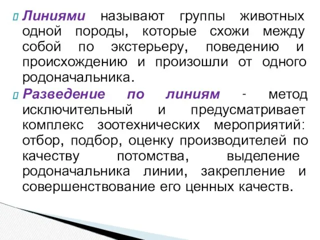 Линиями называют группы животных одной породы, которые схожи между собой