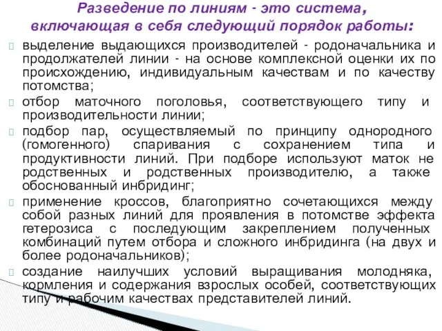 выделение выдающихся производителей - родоначальника и продолжателей линии - на основе комплексной оценки