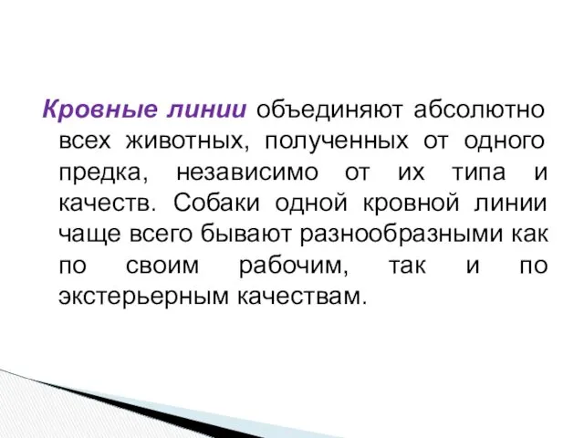 Кровные линии объединяют абсолютно всех животных, полученных от одного предка, независимо от их